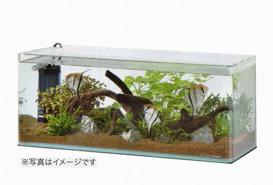 送料無料 フレームレス水槽 ダックスc60 Cfセット 観賞魚グッズ 水槽 ヤマゲンペット 送料無料 フレームレス水槽 ダックスc60 Cfセット 観賞魚グッズ 水槽 ヤマゲンペット