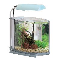 送料無料 小型インテリア水槽 フェイス ヤマゲンペット 送料無料 小型インテリア水槽 フェイス ヤマゲンペット