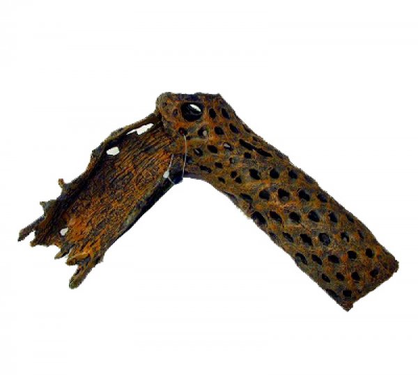 ポリ製サボテンの骨格 カクタススケルトン エルボー ヤマゲンペット